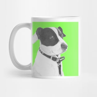 Jack Russell Crossbreed in Green Headshot Mug